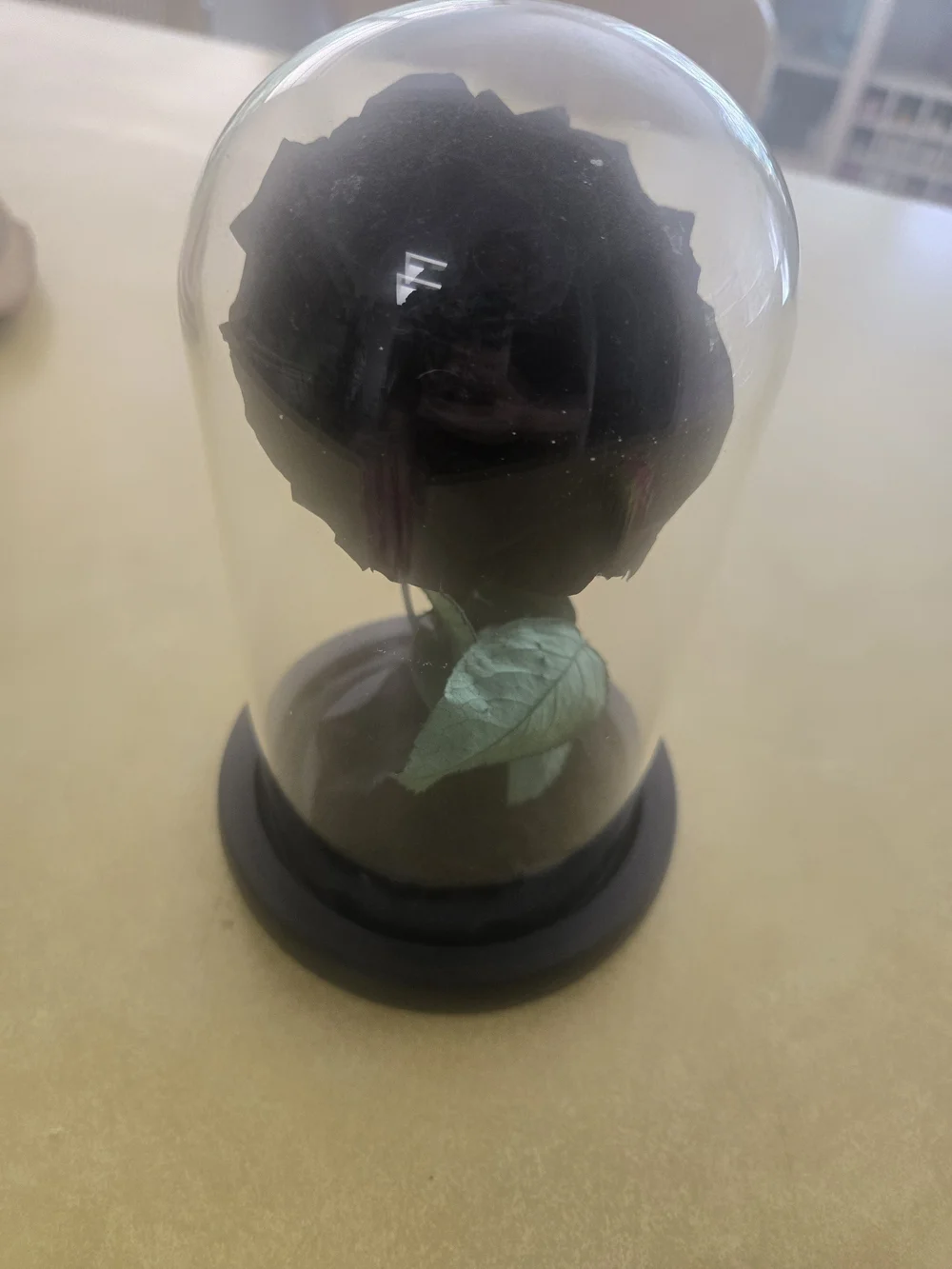 Black Preserved Rose in Decorative Dome - Home Accents